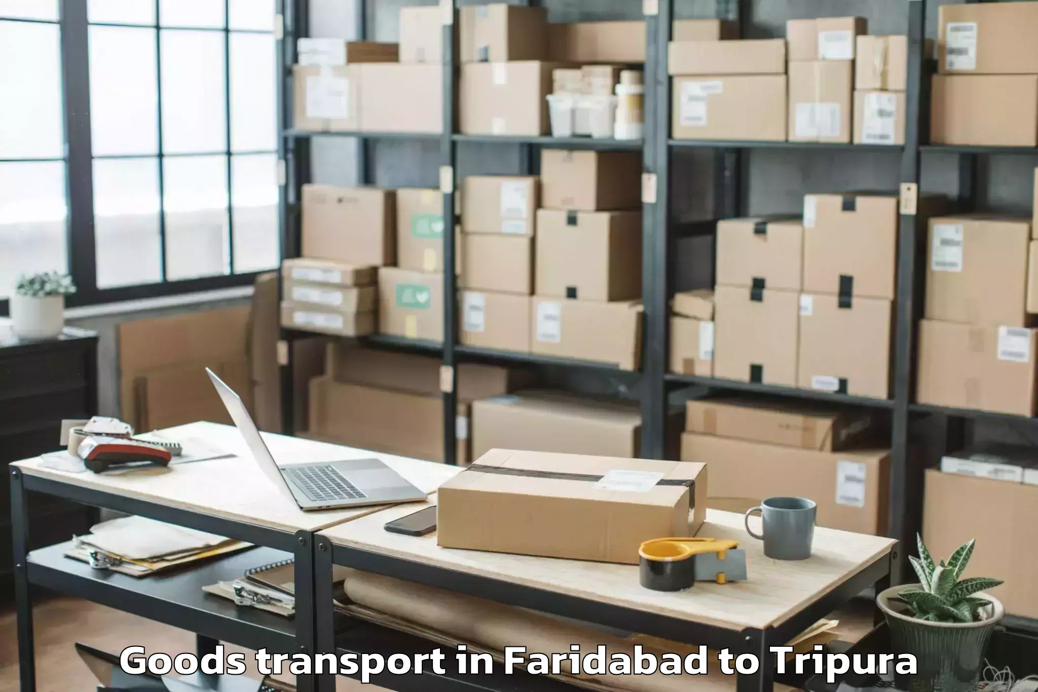 Expert Faridabad to Iiit Agartala Goods Transport